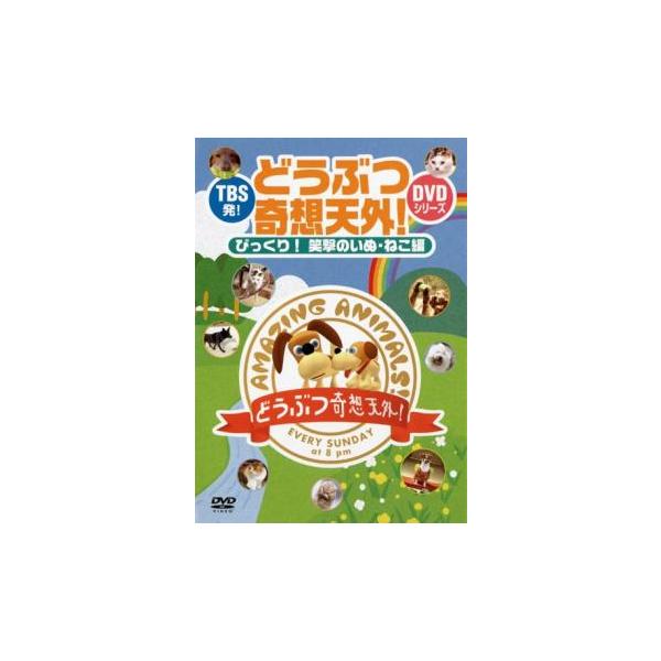 (出演) 久保田智子 (ジャンル) 趣味、実用 ビジネス、教養 動物 (入荷日) 2023-04-18