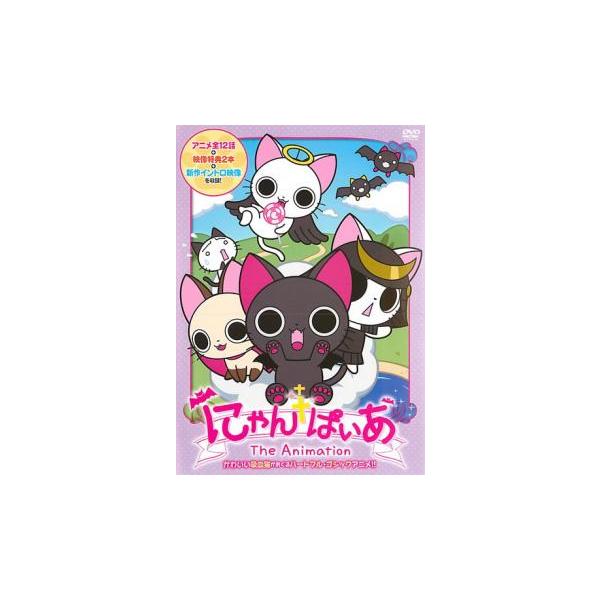 にゃんぱいあ The Animation レンタル落ち 中古 DVD ケース無