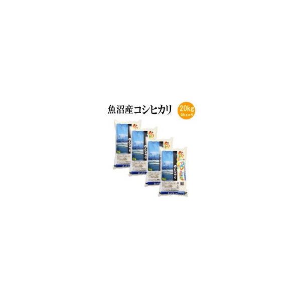 魚沼産コシヒカリ 20kgの人気商品・通販・価格比較 - 価格.com 魚沼産コシヒカリ 20kgの人気商品・通販・価格比較 - 価格.com