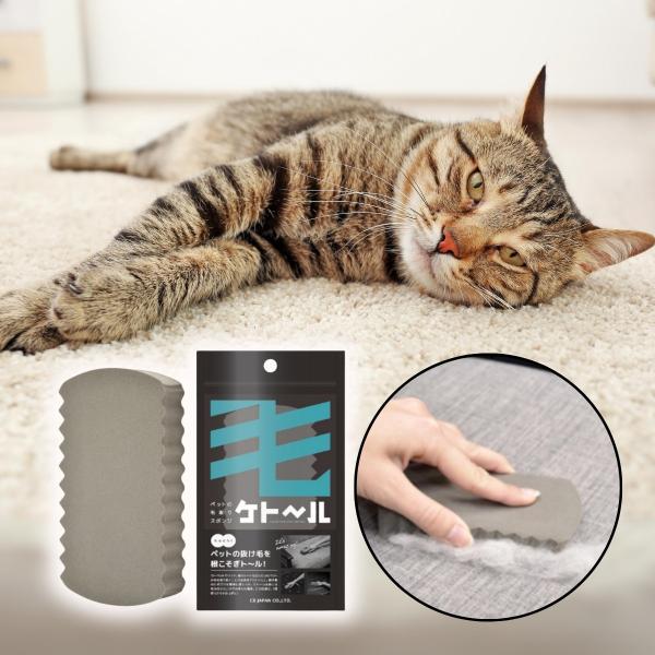使いたい場所にあてて、軽くこするだけ。カーペットやラグ、ソファ、車内などについたペットの毛をサッと取り除くことができます。かき集めた毛だけを簡単に捨てられ、ケト〜ル本体には毛がつかないのでお手入れも簡単です。一度使ったらクセになる超便利アイ...