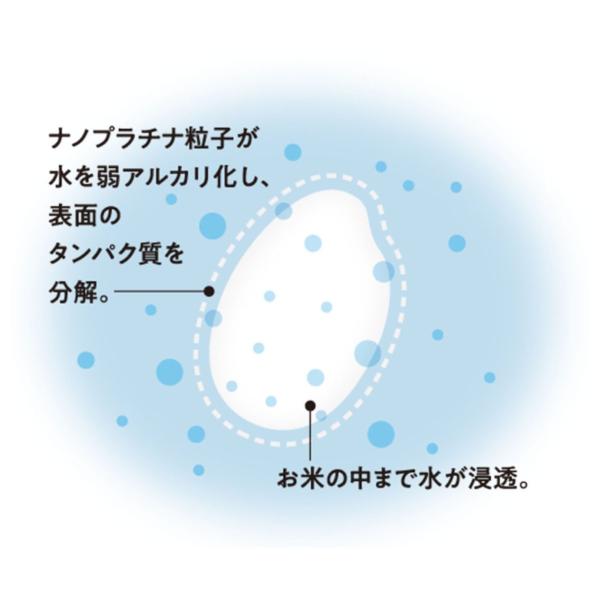 anne-mariya_kitchen-3510012_4_d_20241010103246