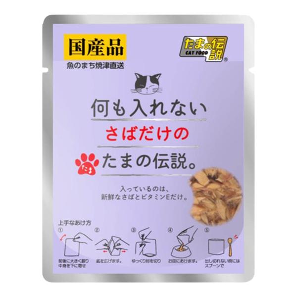 セール 賞味期限 2026年9月6日 何も入れない さばだけのたまの伝説 パウチ 35g STIサンヨー 国産