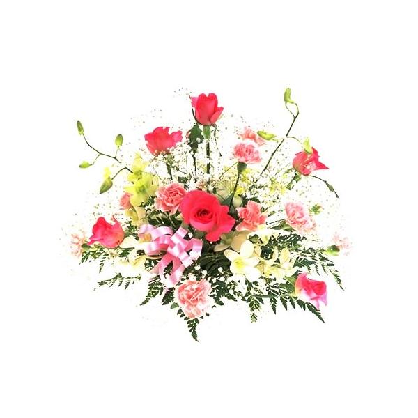 生花 デンファレの人気商品 通販 価格比較 価格 Com