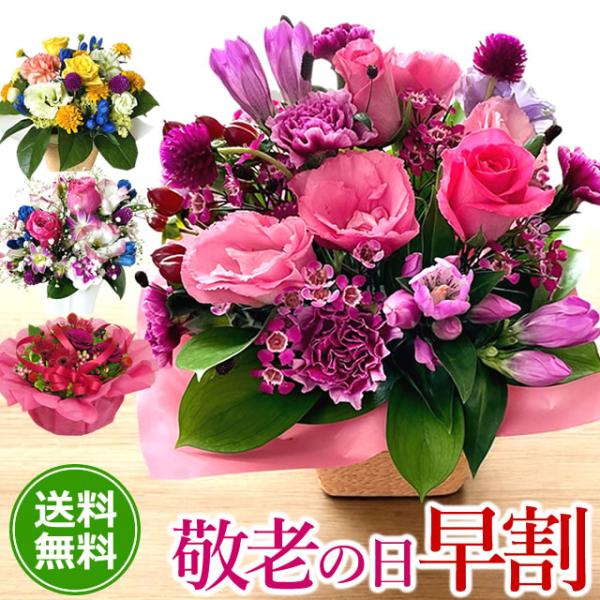 早割開催中！ 敬老の日 プレゼント ギフト 2026 選べる 敬老 アレンジメント  長寿アレンジ 季節 優しい プレゼント 送料無料 赤 爆買