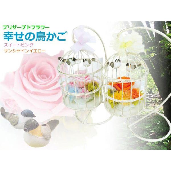プリザーブドフラワー アレンジ 幸せの鳥かご デコレーション ギフト プレゼント クリスマス 歓送迎 送別 退職 贈り物 敬老の日 Df 0010 アンのお花屋さんyahoo 店 通販 Yahoo ショッピング
