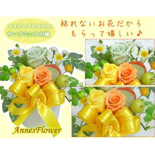 父の日 プレゼント 2026 ギフト 花 プリザーブドフラワーサンタモニカの風 花 ギフト 送料無料 爆買