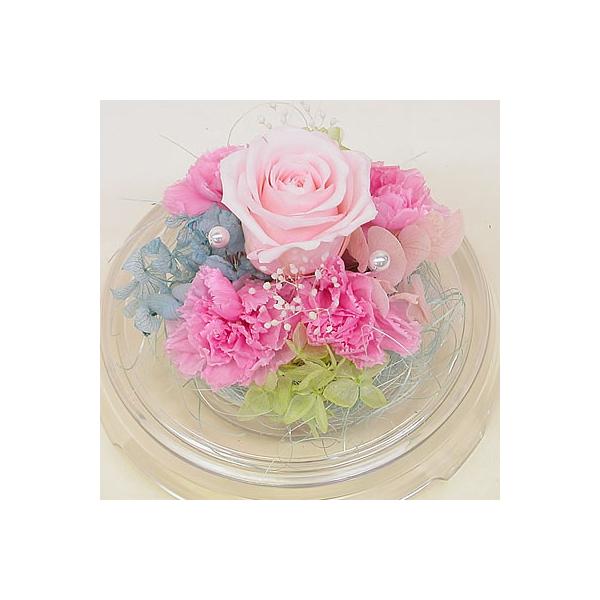 プリザーブドフラワー ドーム　ルナ　バラ ばら 薔薇 誕生日の花 ギフト プレゼント ブリザード 贈り物 クリスマス プレゼント お歳暮