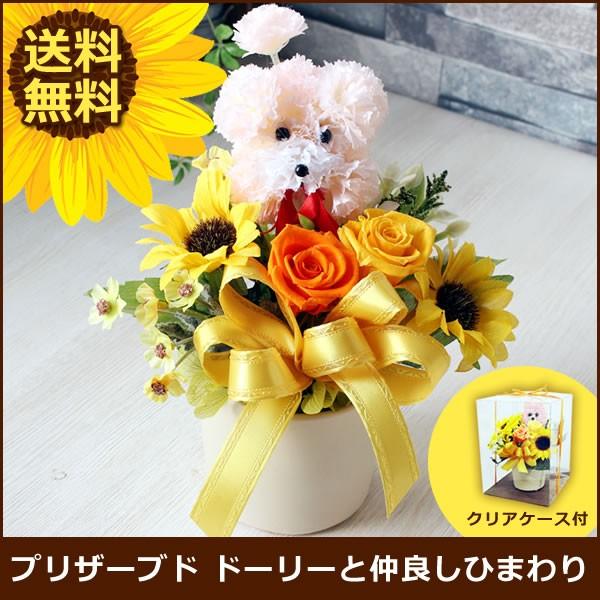 プリザーブドフラワー ドーリーと仲良し ひまわり　送料無料　誕生日 花 翌日配達 ギフト プレゼント 贈り物 クリスマス プレゼント お歳暮