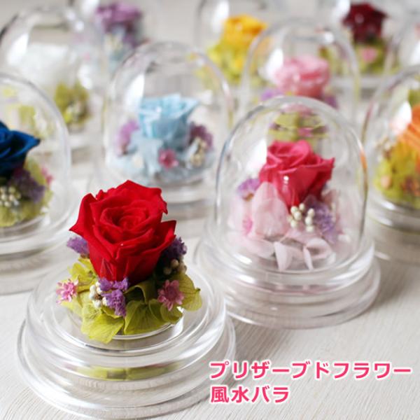 タイムセール プリザーブドフラワー ドーム 風水バラ 全色揃えて幸運の風水生活を！