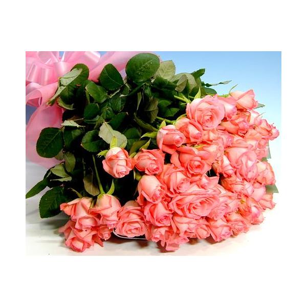 超美品 ギフト バラ 誕生日の花 卒業 贈り物 退職 送別 歓送迎 プレゼント ギフト バースデー 秀2l 本 花束 バラ ピンク 薔薇 生花 Www Solidarite Numerique Fr