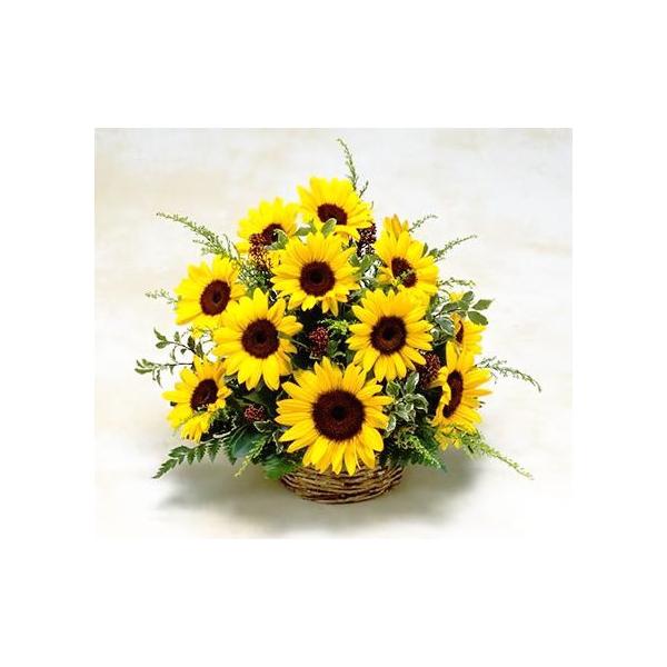 父の日 ギフト ひまわり 誕生日 翌日配達 アレンジ ギフト ★夏はひまわり★ 季節のお花でデザイナーオーダー オレンジ イエロー 贈り物 爆買