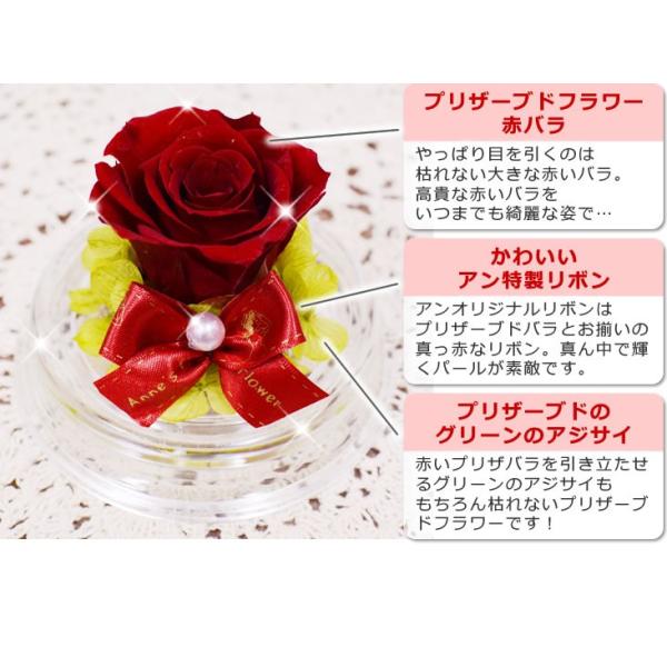 プリザーブドフラワー ピンキー お洒落なプリザ真っ赤なバラとクッキーセット バラ ばら 薔薇 誕生日の花 ギフト プレゼント 贈り物 ブリザードフラワー Buyee Buyee Japanese Proxy Service Buy From Japan Bot Online