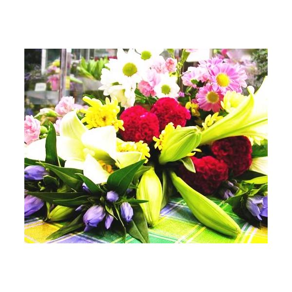   ފ ފ ԑ Q 3980~  r r VN 