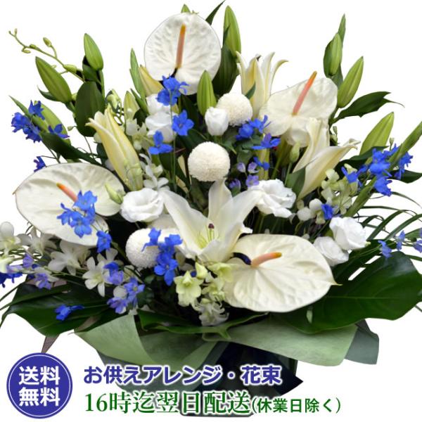 z   ފ ފ  Iׂ 䋟̂ 15000~ R[X t[AWg ԑ Ԃ  r r VN 