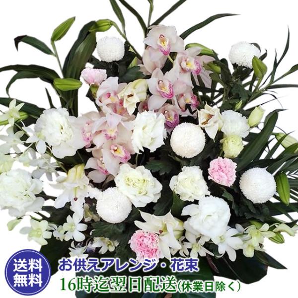 z   ފ ފ  Iׂ 䋟̂ 20000~ R[X t[AWg ԑ Ԃ  r r VN 