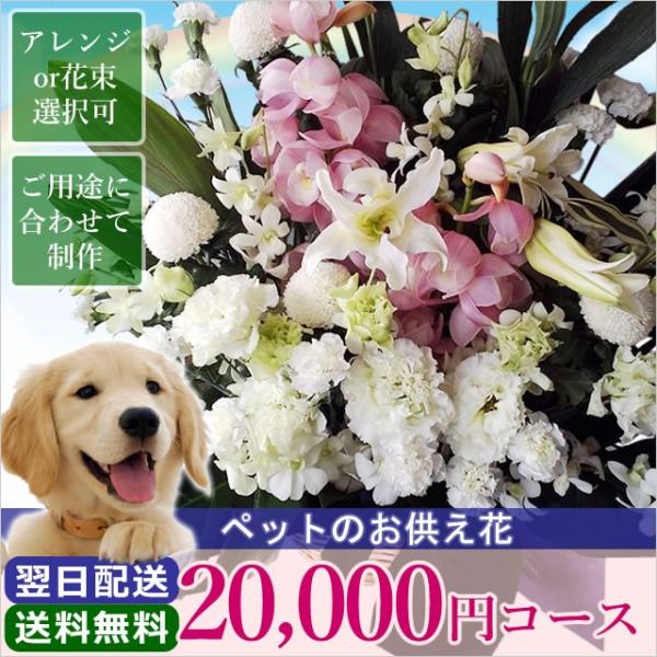   ފ ފ ybĝ 20000~ R[X t[AWg ԑ Ԃ  r r VN 