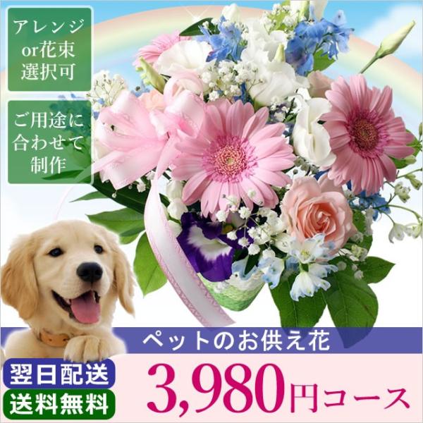   ފ ފ ybĝ 3980~ R[X t[AWg ԑ Ԃ  r r VN 