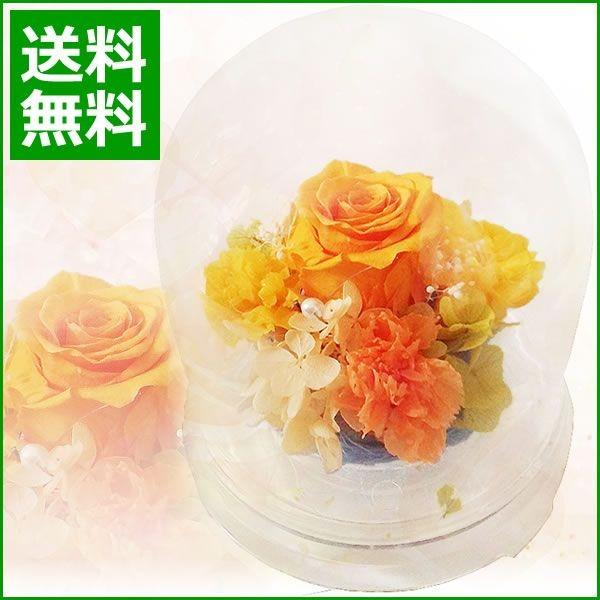 父の日 プレゼント 2026 ギフト プリザーブドフラワー ドーム マリーナ バラ ばら 薔薇 ギフト プレゼント ブリザード 爆買