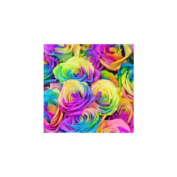 花束 虹色のバラ ギフト レインボーローズミラクル20本の花束 ホワイトデー ギフト プレゼント 歓送迎 送別 退職 贈り物 母の日