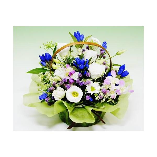    hE gRj[ AW Ԃ  r r VN 