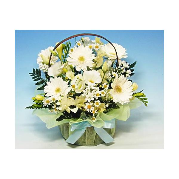   ފ ފ AWg K[x̃AW Ԃ  r r VN 