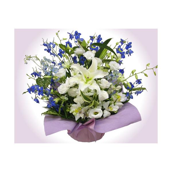   ފ ފ  AWg Ɣ̗ȃAW Ԃ  r r VN 