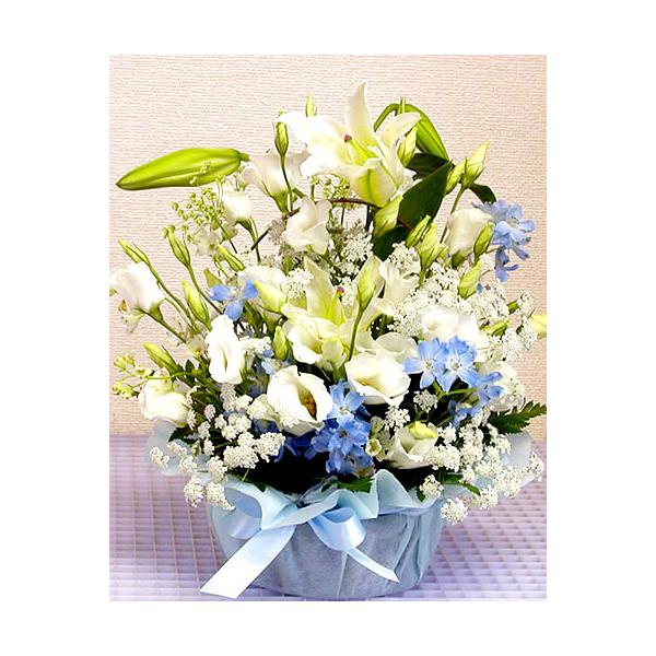   ފ ފ  JTuJ ƃCgu[ȃAWg Ԃ  r r VN 