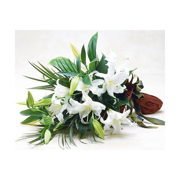   ފ ފ ԑ  JTuJ̉ԑ  r r VN 