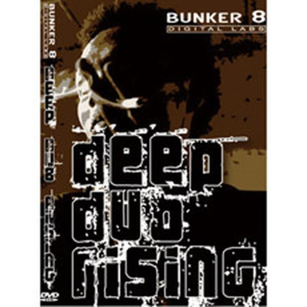 BIG FISH AUDIO DEEP DUB RISING(オンライン納品)(2時間以内に納品)