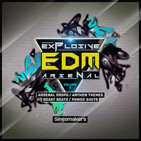 SINGOMAKERS EXPLOSIVE EDM ARSENAL VOL. 2(オンライン納品)(2時間以内に納品)