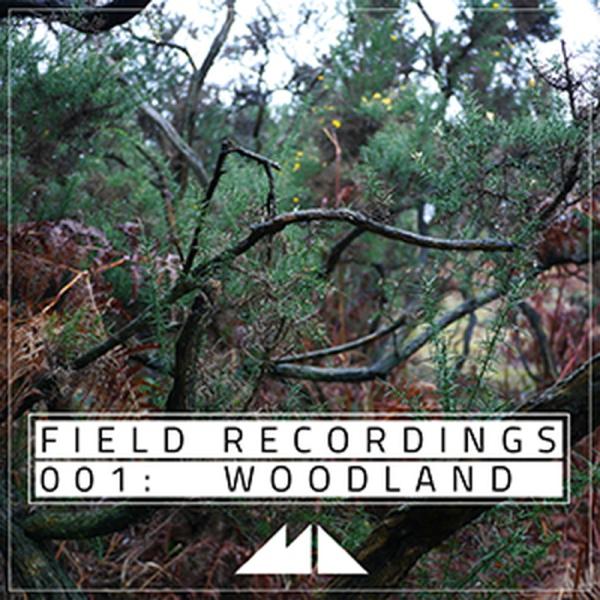 MODEAUDIOフィールド・レコーディング・シリーズ、森編・森のサウンドを収録したフィールド・レコーディング・シリーズ・木々が風に当たる音や、鳥のさえずり、雨のしずくが滴り落ちる音などを含む森の音を収録・1分〜2分半程度の長尺のファイルを...