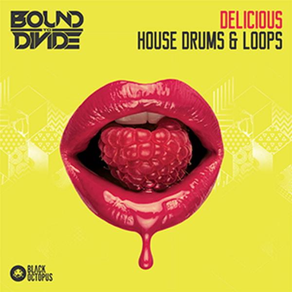 BLACK OCTOPUS DELICIOUS HOUSE DRUMS &amp; LOOPS(オンライン納品)(2時間以内に納品)