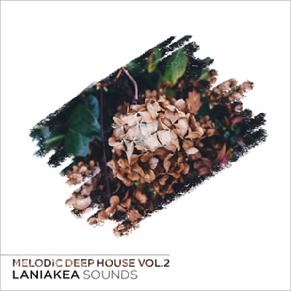 LANIAKEA SOUNDS MELODIC DEEP HOUSE VOL 2(オンライン納品)(2時間以内に納品)