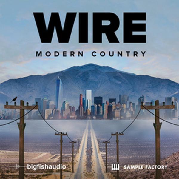 BIG FISH AUDIO WIRE: MODERN COUNTRY(オンライン納品)(2時間以内に納品)
