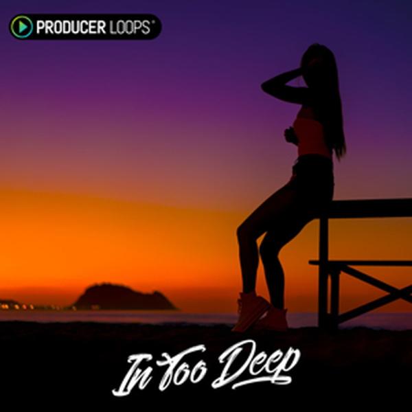 PRODUCER LOOPS IN TOO DEEP(オンライン納品)(2時間以内に納品)
