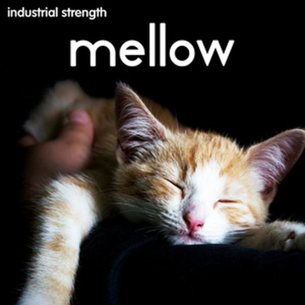 チルアウト、ソウル、ローファイヒップホップに適したメロウなサウンドを収録『MELLOW』はチルアウト、ソウル、ローファイヒップホップに適したメロウなサウンドを含んだサンプルパックです。色とりどりな生楽器のサウンドが特徴です。ドラムパート、ベ...