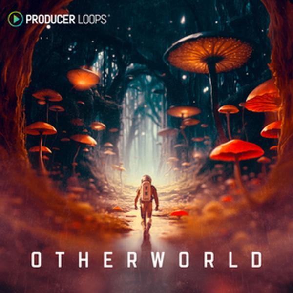 PRODUCER LOOPS OTHERWORLD(オンライン納品)(2時間以内に納品)