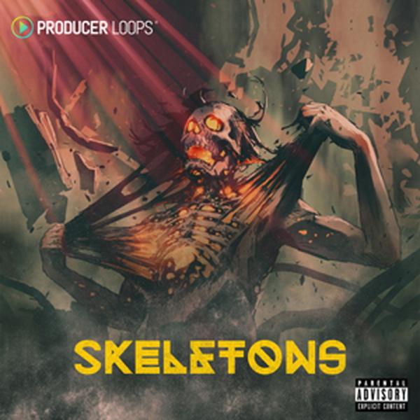 PRODUCER LOOPS SKELETONS(オンライン納品)(2時間以内に納品)