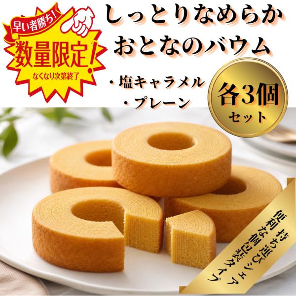 千年屋 しっとりなめらかおとなのばうむ バウムクーヘン 塩キャラメル プレーン 季節限定 2種 各3個 洋菓子 個包装 小分け お試し ポイント消化 爆買