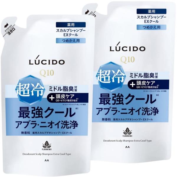 2個セット LUCIDO（ルシード）薬用スカルプデオシャンプー EXクールタイプ 詰替 380mL【医薬部外品】