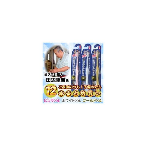 なんと あの歯ブラシ職人 田辺重吉 氏の自信作 磨きやすい 歯ブラシ 極 を ３色12本セット まとめ買い お取り寄せ商品 Km Buyee Buyee Japanese Proxy Service Buy From Japan Bot Online