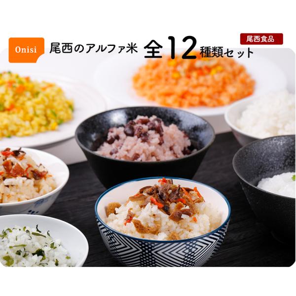 非常食 非常食セット 保存食 防災セット アルファ米 防災食 保存食 5年 防災グッズ 食料 尾西食品 アルファ米 5年保存 尾西のアルファ米 全12種類セット