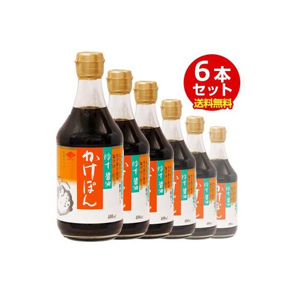 yiꕔnZ jz`[R[䂸ݖۂ400ml/`[R[ ||iۂ|j@i6{j