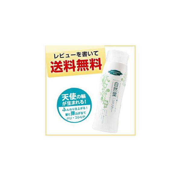 【セット】グリーンノート 自然葉シャンプー　300ml×2本セット　/メーカー公認店/正規品/