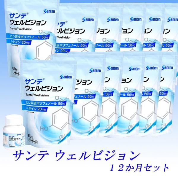 サンテ ウェルビジョン 12ヵ月セット ／サンテウェルビジョン 12ヵ月