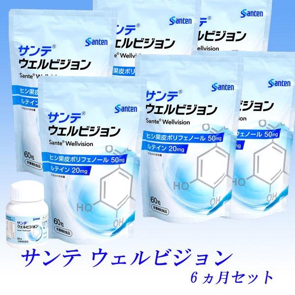 サンテ ウェルビジョン 6ヵ月セット /サンテウェルビジョン 6 サンテ ウェルビジョン 6ヵ月セット /サンテウェルビジョン 6