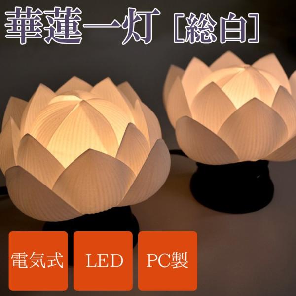 ansindo_mori-1218036