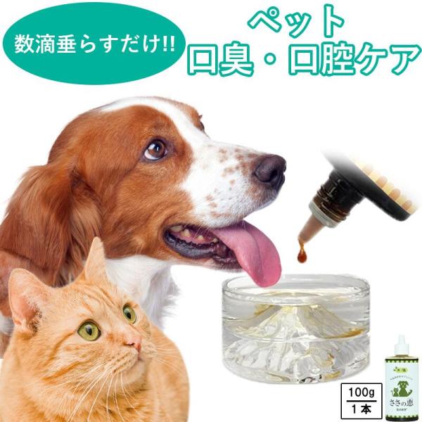 北のささ ささの恵 100g×3 ペット用熊笹エキス 犬 ネコ 北のささ ささの恵 100g ペット用熊笹エキス 犬 ネコ ペット用