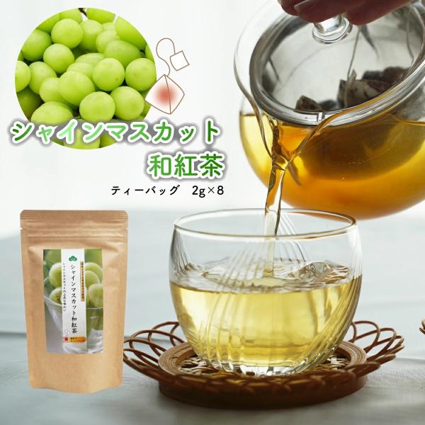 シャインマスカット和紅茶 松田製茶 フルーツティー 2g×8 ティーバッグ フレーバーティー 猿島茶