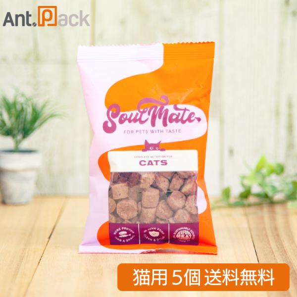 ソウルメイト フリーズドライフード レッドミート 猫用 20g×5個（80459
